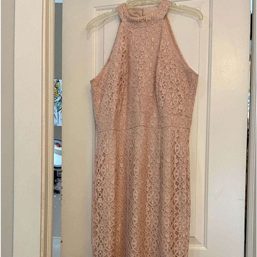 BLUSH LACE DRESS
